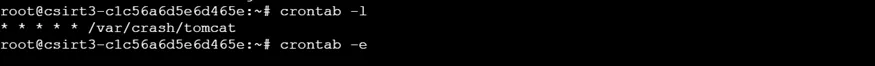 20260223234751319-image