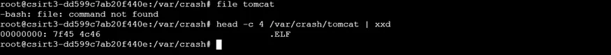 20260223234651432-image